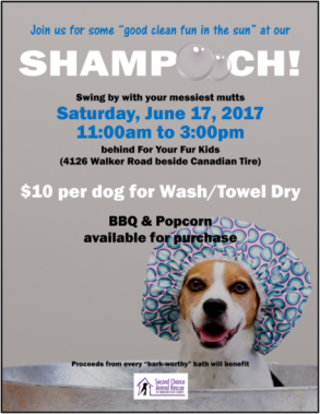 Second Chance Animal Rescue event